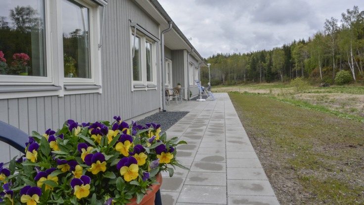 Grått trähus i ett plan, blommor i förgrunden
