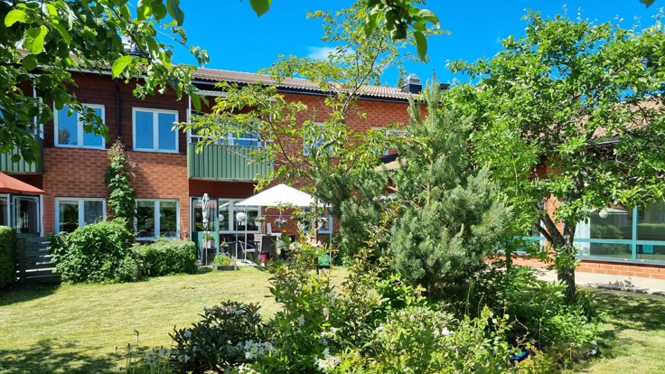 Grönskande trädgård med hus i bakgrunden