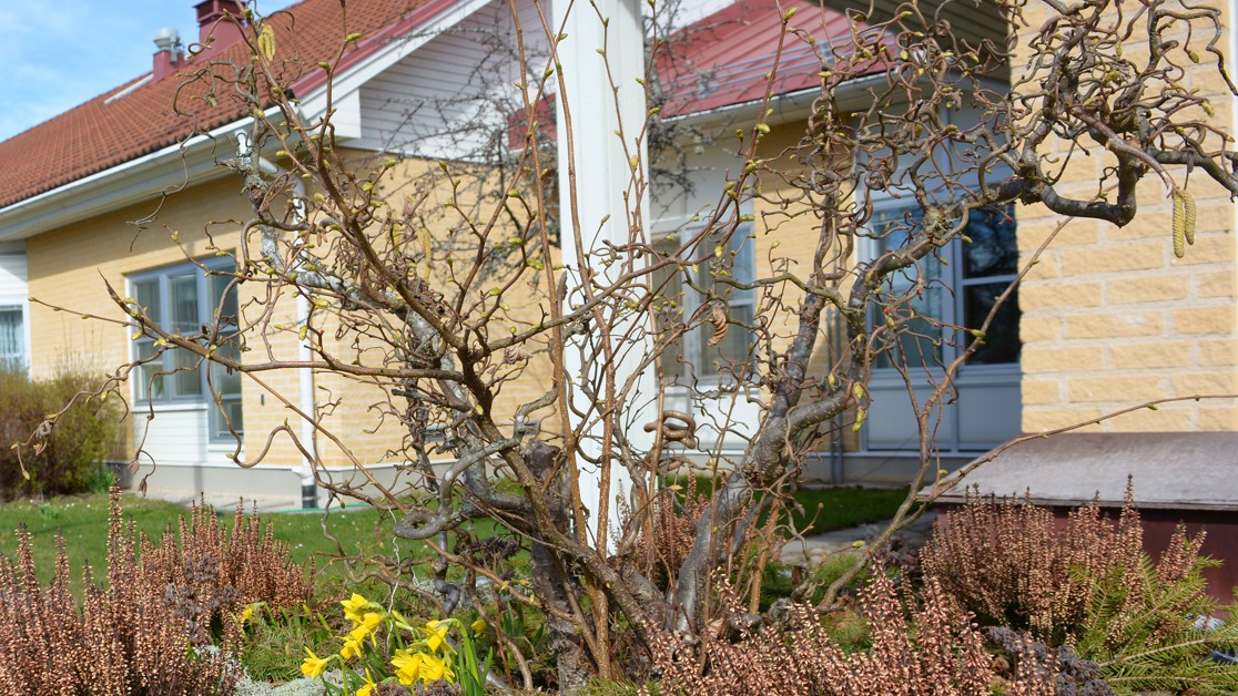 August Jansgårdens fasad med blomrabatt framför