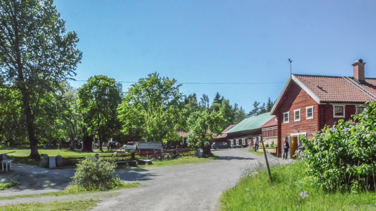 Gårdsplan, gräs, röda uthus