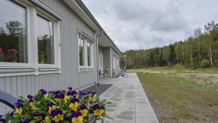 Grått trähus i ett plan, blommor i förgrunden