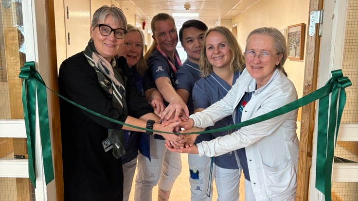 Grupp människor klipper ett band