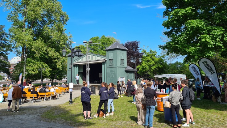 Människor i en park. Gröna träd, blå himmel.