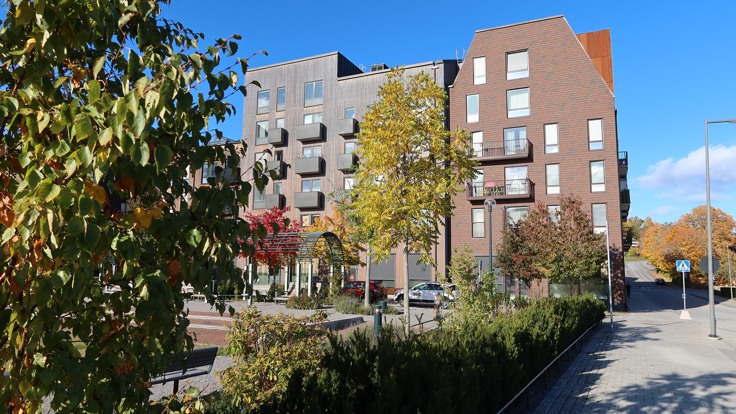 Park med träd och buskar framför ett stort och högt hus. 