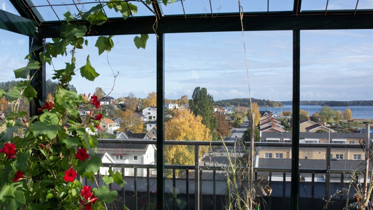 Utsikt över hus och vatten från växthus på takaltan