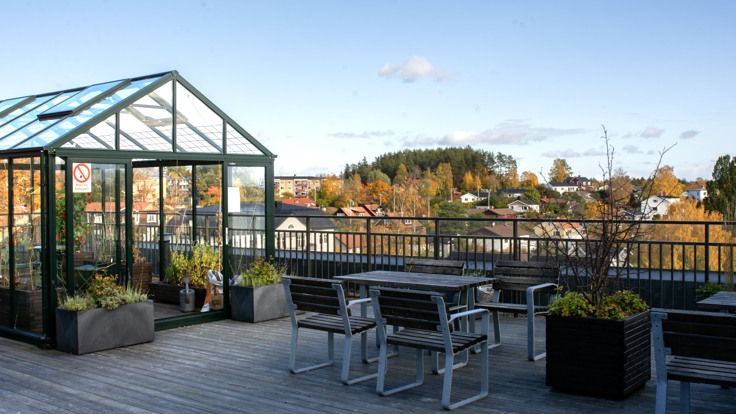 En takaltan med växthus