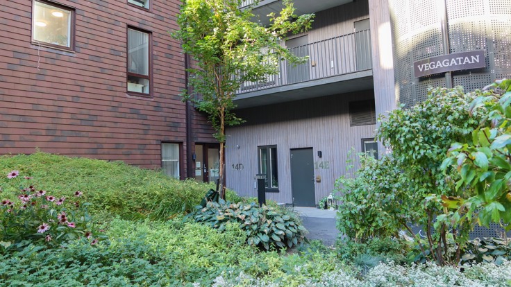 Gård med många buskar och träd, entre till boendet