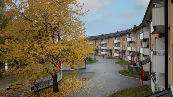 Utsikt från en balkong. En gård med träd i höstfärger